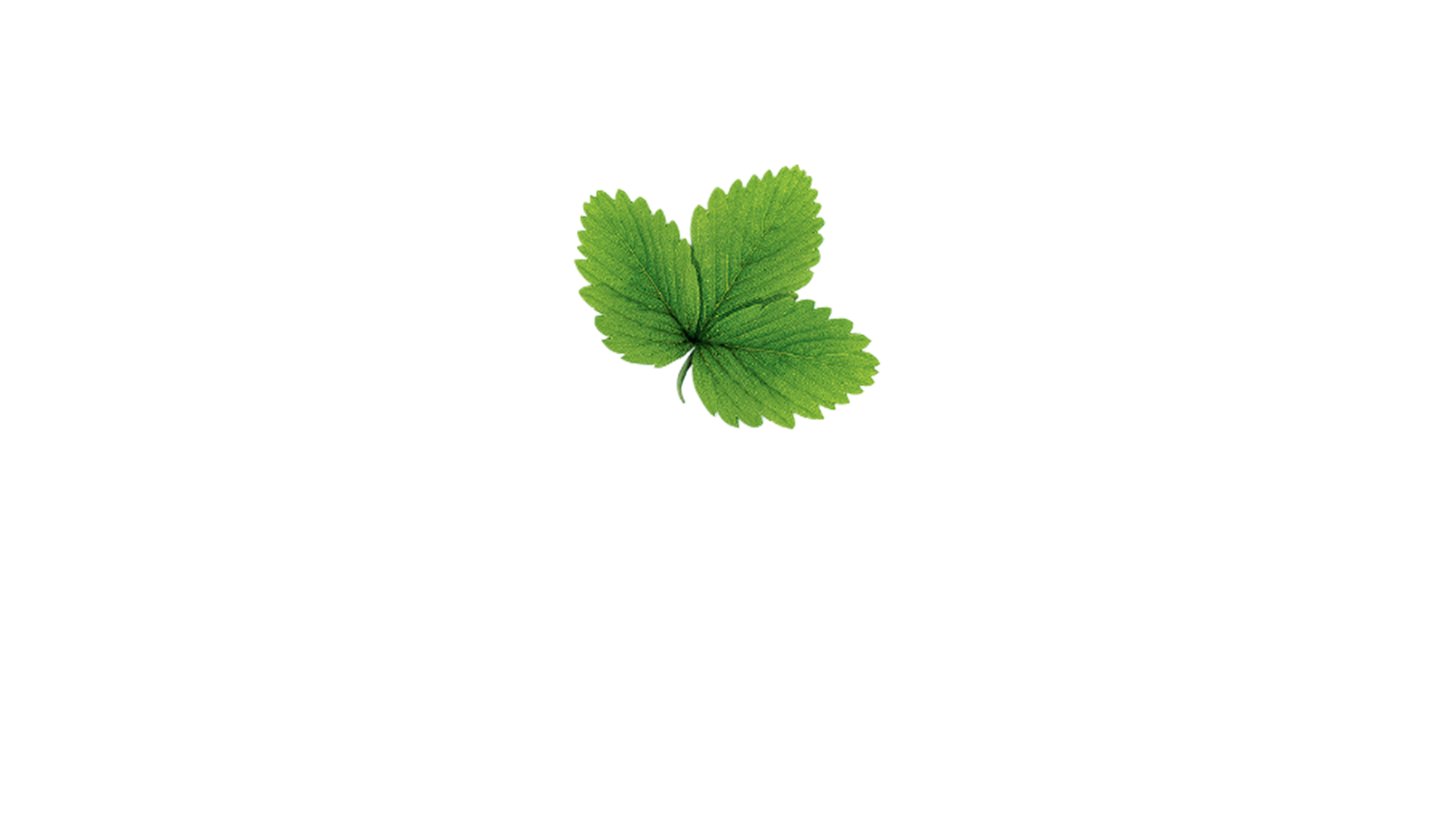 Kekkilä logo