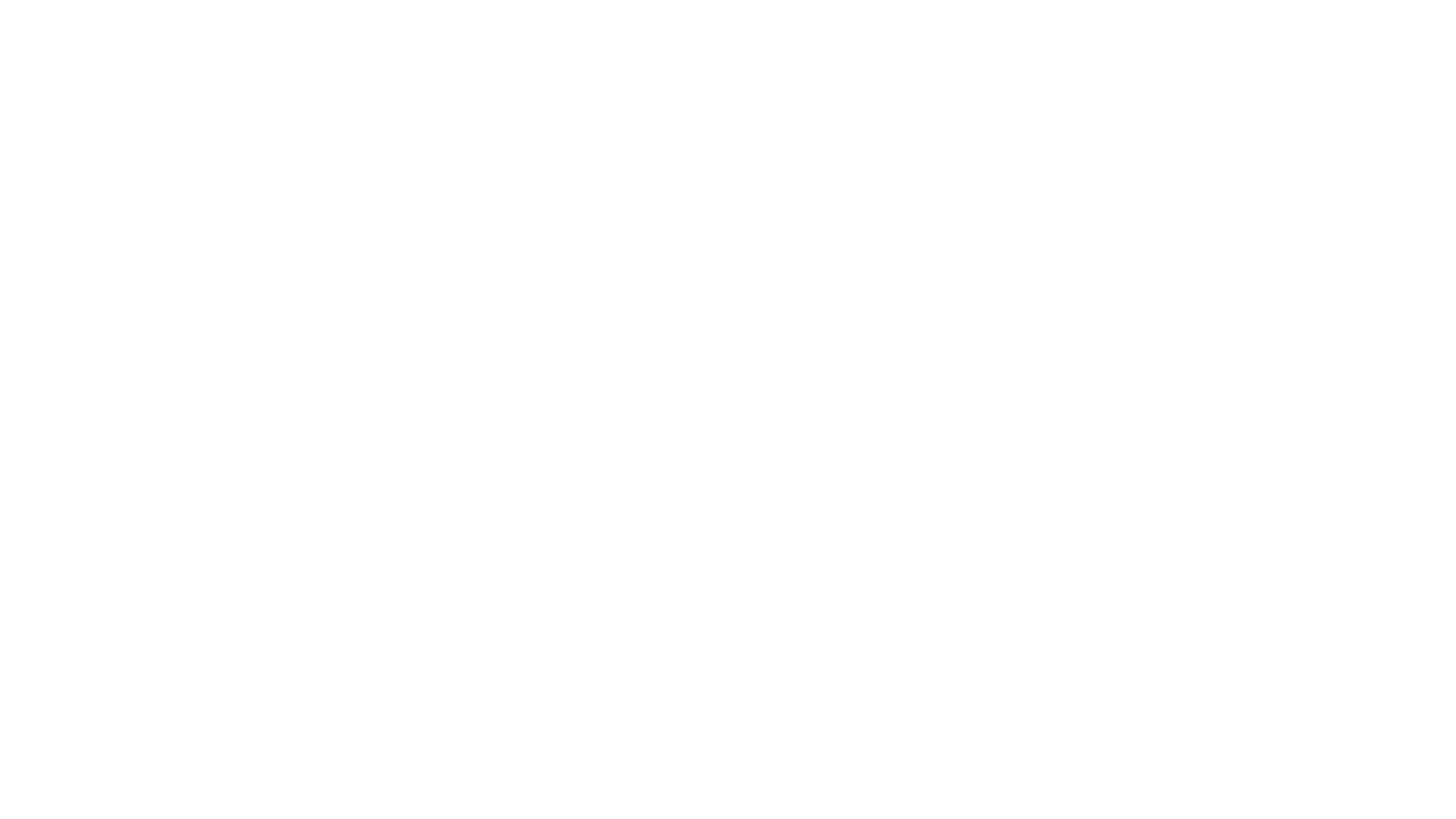 PrimaCat logo